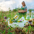 Kruiden EHBO: de natuurlijk reisapotheek