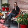 Skimmia's op het winterras