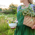 Tips bij de aanleg van een bloemenweide