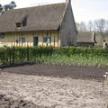 Teeltplan, wisselteelt - spitten - wanneer zaaien en planten in de groententuin