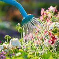 Tuintip - Klussen bij droog weer