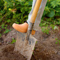 Moestuinieren zonder te spitten!