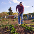 Meimaand...moestuinmaand!