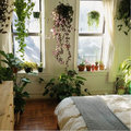 7 planten voor de slaapkamer