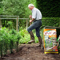 Aanplanten in je tuin? Nu is het moment.