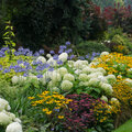 De invloed van kleuren in de tuin