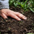 De juiste planten op de juiste bodem