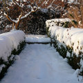 Geen winterdip in de tuin