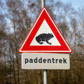 Help padden de straat over: paddentrek