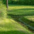 Het aanleggen van een wadi met (bollen)beplanting