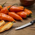 Paprika's en pepers zaaien in maart