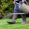 Natuurlijke bestrijding van larven in de tuin