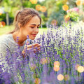 Lavendel snoeien: hoe en wanneer?