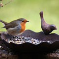 Een vogelparadijs