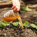 Natuurlijke meststofrecepten om zelf te maken