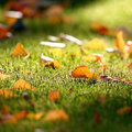 Ook in de herfst en winter genieten van je gazon