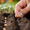 Opstart van de moestuin, voorbereidingen