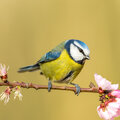 Tuintip -  Werk aan de winkel!