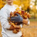 Tuintip -  Zweven tussen herfst en winter.