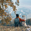 Wandelen met je hond: waar rekening mee houden?