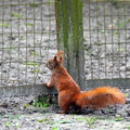 Wilde dieren in je tuin!