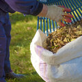 Zelf bladcompost maken met bladeren uit de tuin