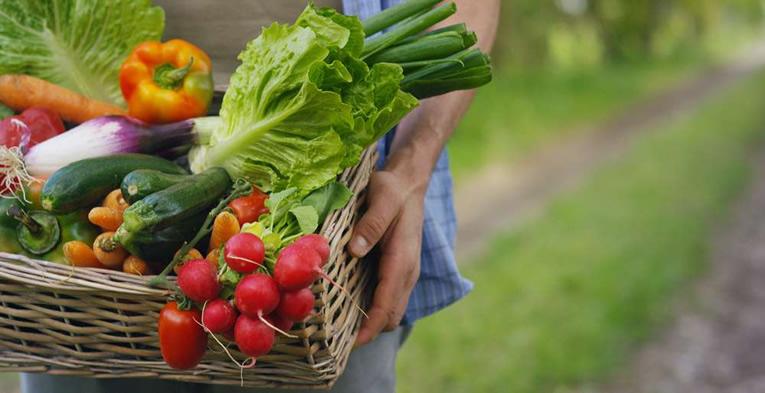 Een bemeste moestuin is er twee waard