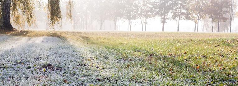 Het gazon veilig de winter door