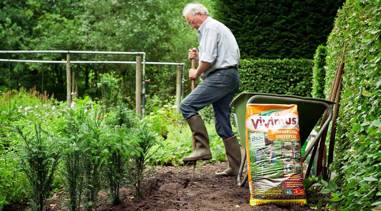 Aanplanten in je tuin? Nu is het moment.