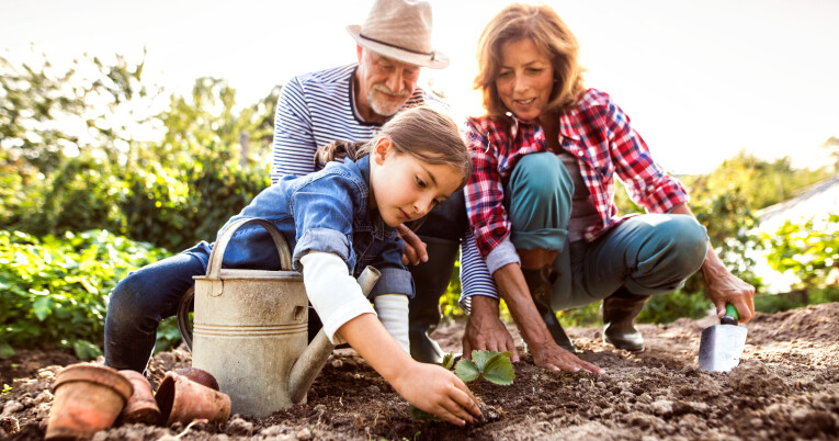 opstart moestuin plantgoed