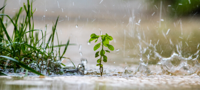 tips bij hevige regen