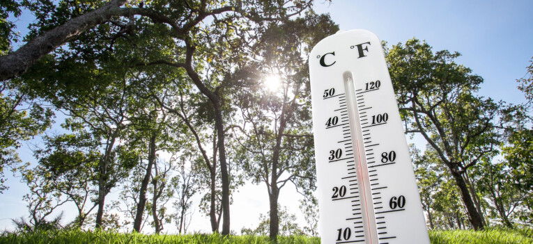 Klimaatbestendige tuin creëren