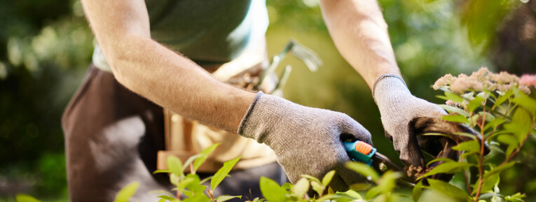 Werken met kwalitatief tuingereedschap