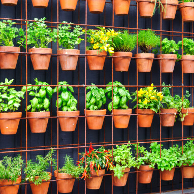 Verticaal moestuinieren