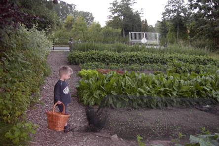 Moestuin starten