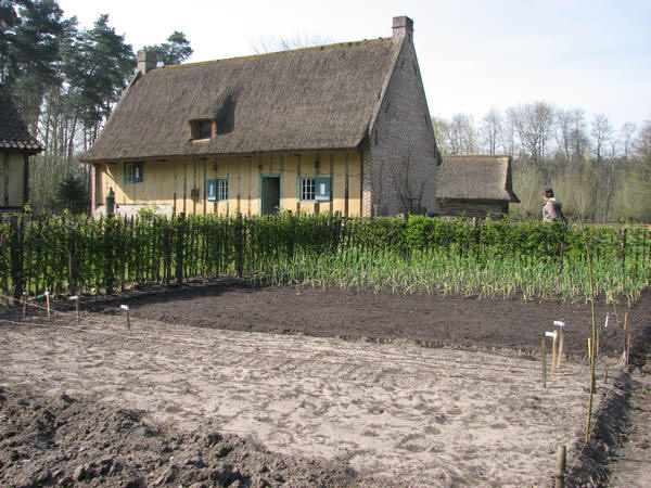 Moestuin aanleggen