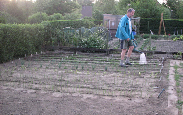 Jouw eigen moestuin