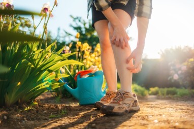 Tips om muggen te weren in huis en tuin