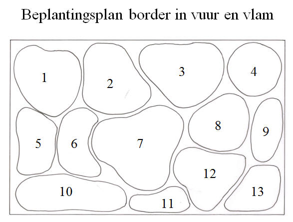 Beplantingsplan voor een mooie bloemenborder