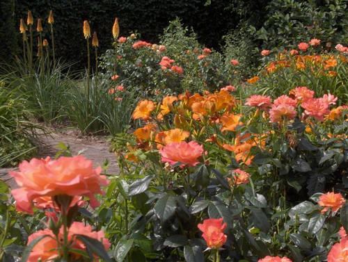 Bloemenborder in vurige tinten