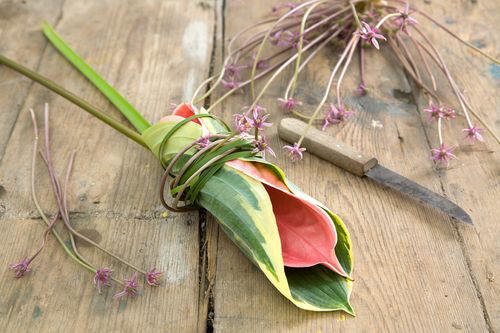 Plak Hosta en Anthurium rond de kartonring.