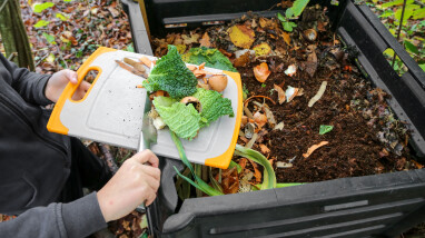 Wat mag in de compostbak