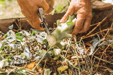 Zelf compost maken