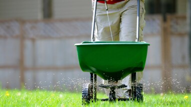 Gazon bemesten in de zomer