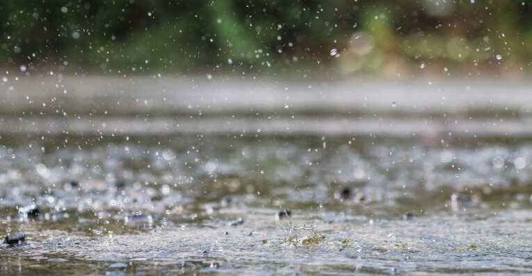 Vijvertips bij hevige regenval