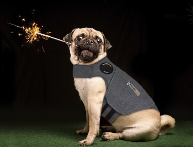 Thundershirts zijn effectief om stress tijdens vuurwerk te voorkomen