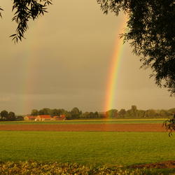 Hans en Suus