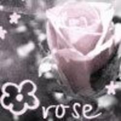 Rosemieke