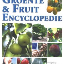 Plantaardig_Groenteninfo