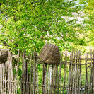 Natuurlijke bestrijding